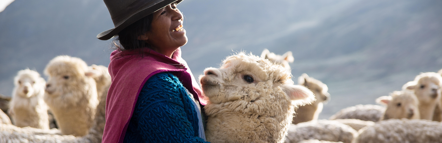 Peruvian woman smiling widely and embracing alpaca
